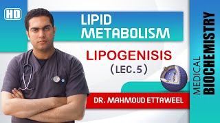 Lipid Met  lec5  FA synthesis amp Lipogenesis [upl. by Gean]