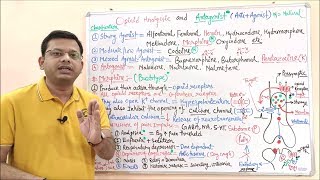 Opioid Analgesic amp Antagonist Part 03  Classification MOA and Pharmacological Effect of Opioid [upl. by Tallbot]