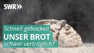 Das Geschäft mit Brot  Marktcheck SWR [upl. by Hitchcock314]