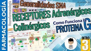 PROTEINA G 2do MENSAJEROS  Receptores ADRENÉRGICO COLINÉRGICO NEUROFARMACOLOGÍA INTRO P3 [upl. by Eyaf]