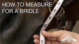 How to Measure for a Bridle [upl. by Nylear]