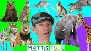 Wild Animals  Matts Tube 1  Learning Wild and Zoo Animals for Kids [upl. by Yancy]