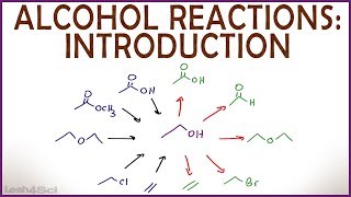 Introduction to Alcohol Properties and Reactions [upl. by Ellecram]