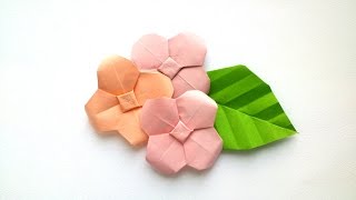 How to make Origami Hydrangea  Origami Flowers [upl. by Ardnod]