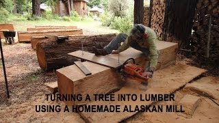 Turning a tree into lumber using a homemade Alaskan Mill [upl. by Wershba231]