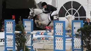 Al Ashar Vollblutaraber LStil Springen  Arabian Horse  Show Jumping [upl. by Ilatan]