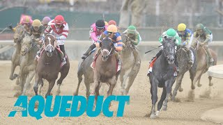 Aqueduct Simulcasting  January 11 2024 [upl. by Adnamma]