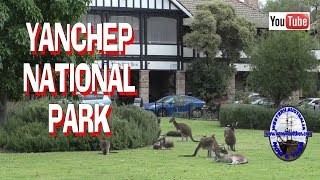 Yanchep National Park  Updated  Western Australia [upl. by Enram731]