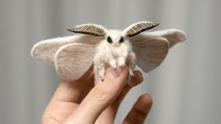 21 Most Incredible Moth Species [upl. by Jolynn]