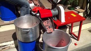 Processing tomatoes  removing water from tomatoes  canning tomato sauce [upl. by Noleta]