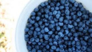 Natural ways to remove pesticides from berries [upl. by Desiree183]