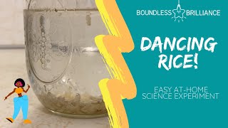 Dancing Rice Easy Science Experiment for Kids [upl. by Nilson]