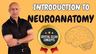 Intro to Neuroanatomy  Neurophysiology  Neuroscience  Central Nervous System [upl. by Theresina68]