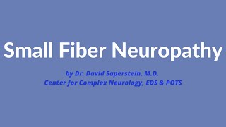 Small Fiber Neuropathies in Dysautonomia  Dr Amanda Peltier [upl. by Eniac510]