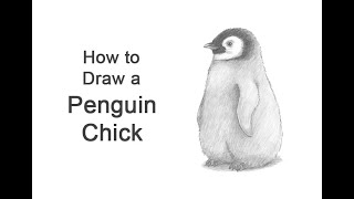 How to draw a Penguin Chick [upl. by Adnilg]