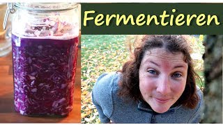 Fermentieren 💛 │ Sauerkraut herstellen aus Rotkohl [upl. by Eidlog828]