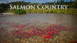 Alaska Salmon Country  Sockeye City [upl. by Swain]