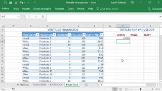 Cómo sumar por Categorías en EXCEL [upl. by Anoi]