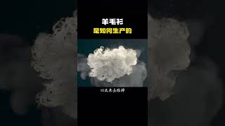 羊毛衫是如何生产的？科普 知识 冷知识 [upl. by Kera225]