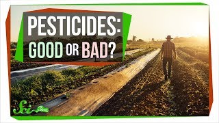 How Safe Are Pesticides Really [upl. by Adam831]