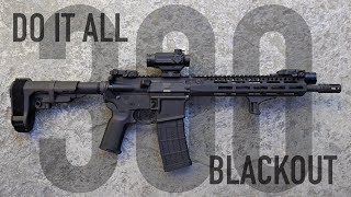 Do It All 300 Blackout AR15 Build  Budget Conscious [upl. by Harrison42]