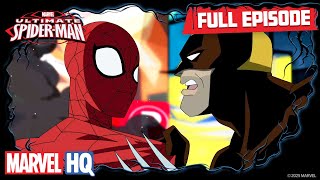 Freaky  Ultimate SpiderMan S1 E10  Full Episode [upl. by Grissel616]