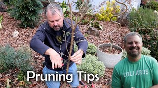 Winter Pruning Tips [upl. by Allenrac]