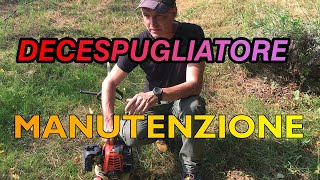 DECESPUGLIATORE MANUTENZIONE [upl. by Aivatnohs712]