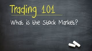 Trading 101 What is the Stock Market [upl. by Anniala796]