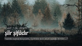 şiir şifâdır  en sevilenler 1 saat dinleti [upl. by Tillford]