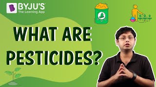 Pesticides  Uses Disadvantages and Advantages [upl. by Alik262]