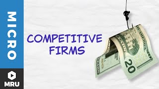 Introduction to the Competitive Firm [upl. by Leirad8]