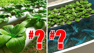 Hydroponics VS Aquaponics Heres Which Ones REALLY Better [upl. by Deina]