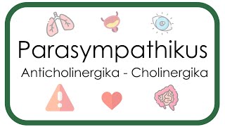 Parasympathikus – Pharmakologie Anticholinergika Atropin Scopolamin  Cholinergika Neostigmin [upl. by Wendell]