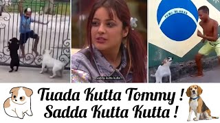 Tuada Kutta Tommy Sadda Kutta Kutta  Bhangra Mashup  Yashraj Mukhate  Harshad Gaikwad [upl. by Carmon]