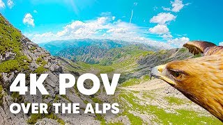 Breathtaking Eagle POV Flying Over The Alps in 4K [upl. by Yenots]