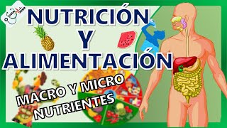 CONCEPTOS BÁSICOS DE NUTRICIÓN Y ALIMENTACIÓN  GuiaMed [upl. by Wamsley316]