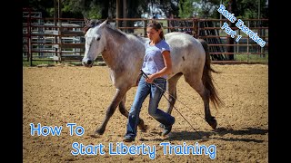 How To Start Liberty Training With Your Horse Basic Exercises Part 1 [upl. by Ellebasi170]