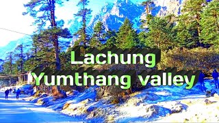 Lachung North Sikkim Yumthang Valley [upl. by Yvan104]