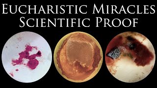 Eucharistic Miracles Scientific Proof that Eucharist is the Body of Christ [upl. by Greeley89]