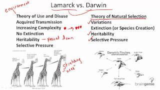 1221 Darwin v Lamarck [upl. by Airret870]