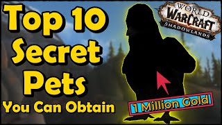 Top 10 Secret Pets You Can Obtain in World of Warcraft [upl. by Ikciv944]