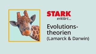 Die Evolutionstheorien von Lamarck und Darwin  STARK erklärt [upl. by Costa]