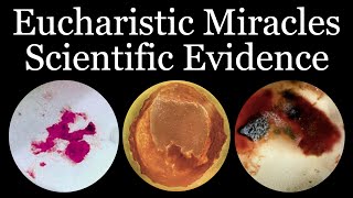 Scientific Evidence of Eucharistic Miracles  Inspired By Carlo Acutis [upl. by Ayian644]