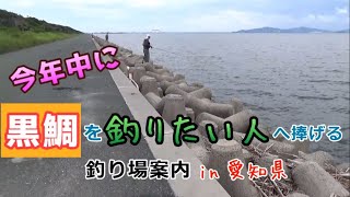 黒鯛を絶対釣りたいならここ！ルアー・落とし込み・前打ちの釣り場紹介 in 愛知県 [upl. by Benedetta997]