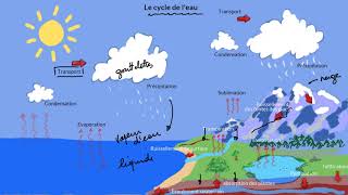 Le cycle de leau [upl. by Atinele]