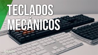 Teclados mecánicos guía a fondo para conocer sus diferencias [upl. by Neerehs]