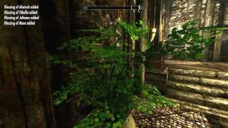 Skyrim Dovahkiin Retreat mod [upl. by Etnahc]