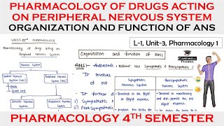 Pharmacology of drugs acting on Peripheral Nervous System  Organization and function of ANS L1U3 [upl. by Mccourt]