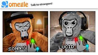 OMEGLE Trolling in Gorilla Tag [upl. by Eillac158]